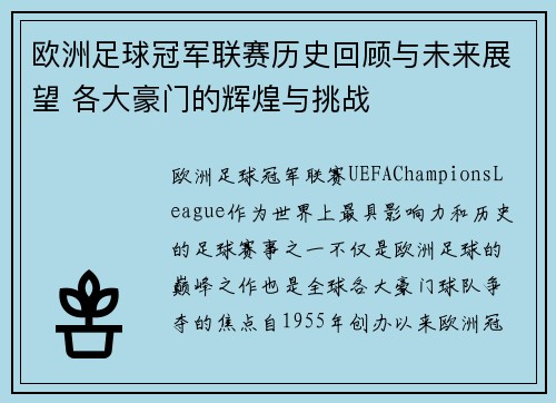欧洲足球冠军联赛历史回顾与未来展望 各大豪门的辉煌与挑战